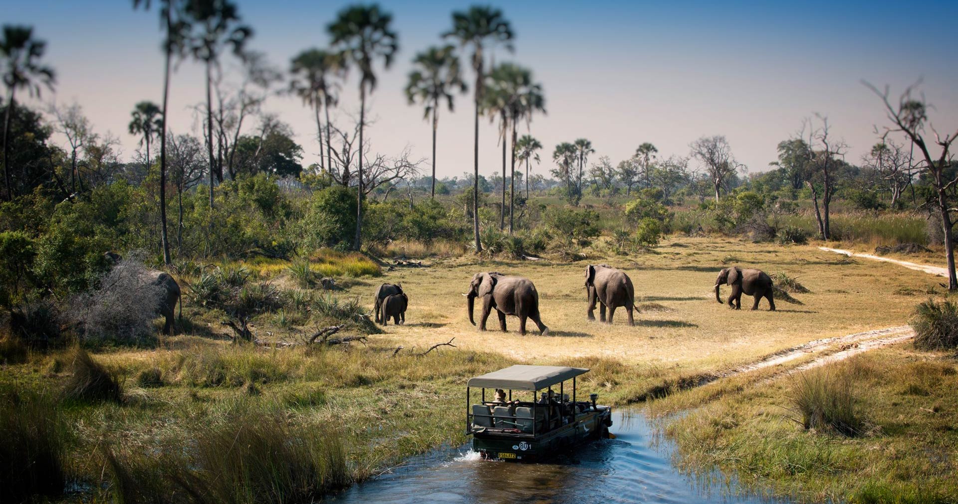 Chobe Full Day Trip from Victoria Falls