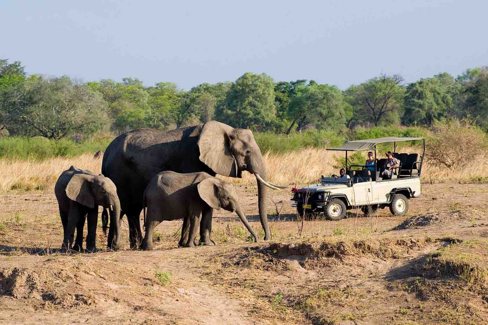 Hwange National Park  Day Trip from Victoria Falls