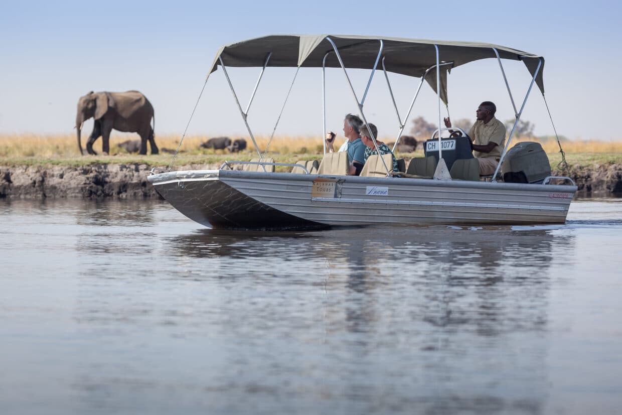 Chobe day trip from Victoria Falls