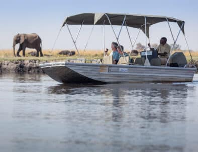 Chobe day trip from Victoria Falls