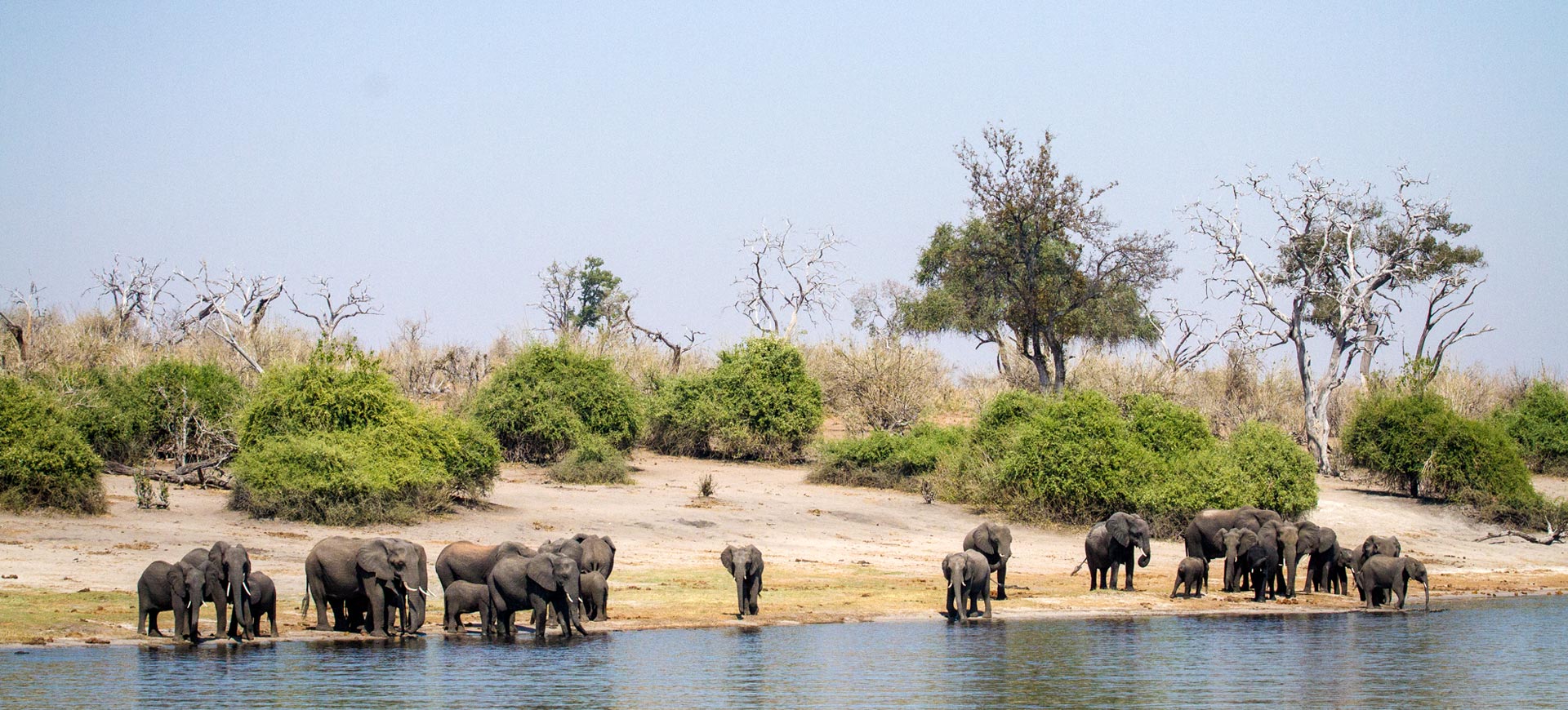 Chobe day trip from Victoria Falls