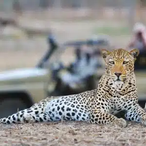 upper zambezi canoeing