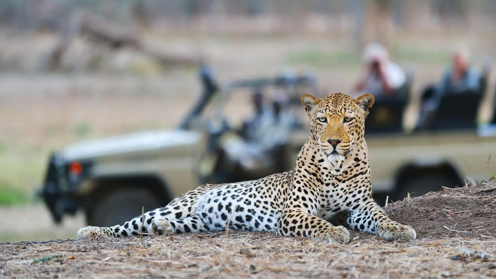 Zambezi National Park game drive