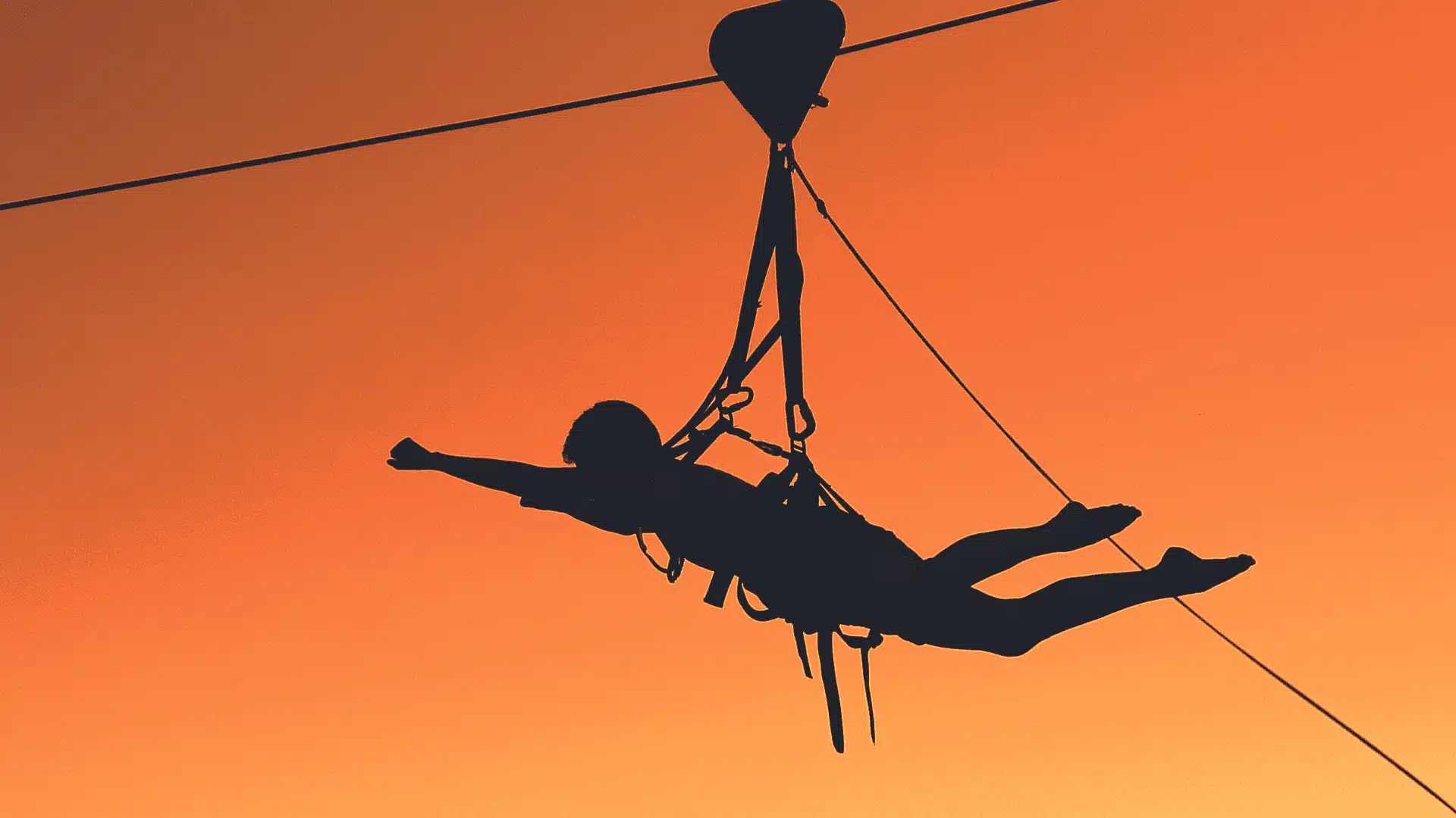 Flying Fox Victoria Falls