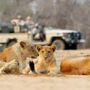 upper zambezi canoeing