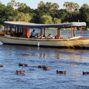 zambezi river classic sunset cruise