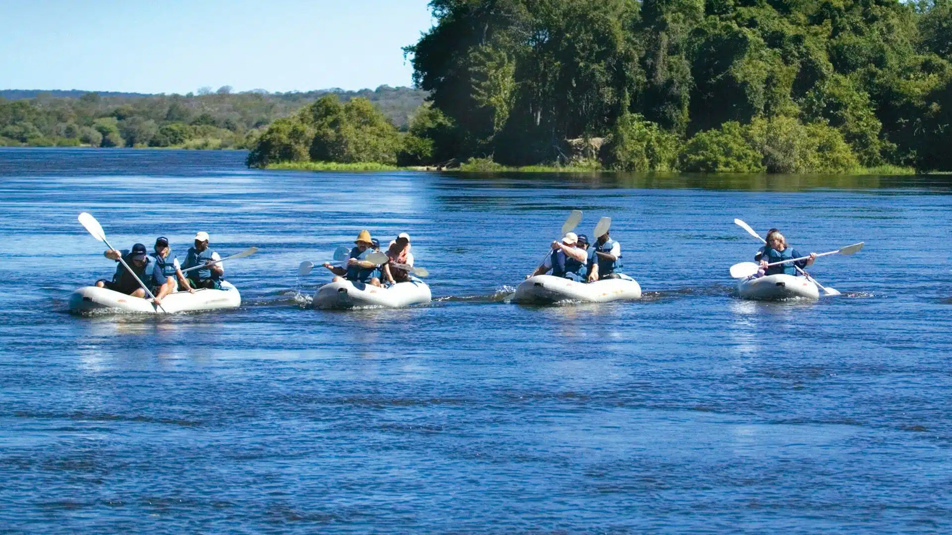 Zambezi River Safaris