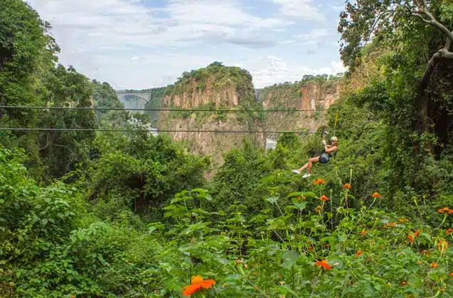 Canopy Tour Victoria Falls