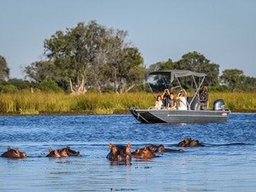 Chobe day trip from Victoria Falls