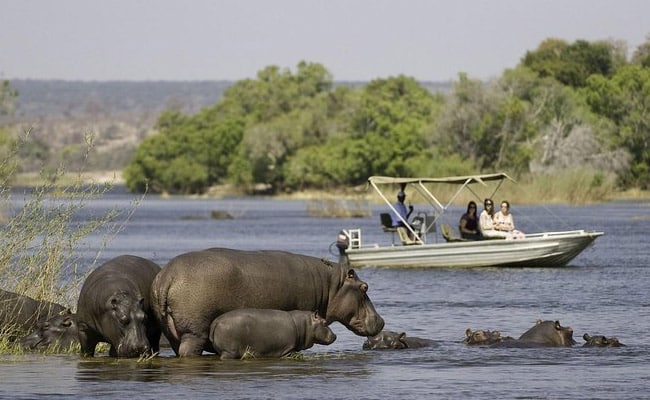 Chobe day trip from Victoria Falls