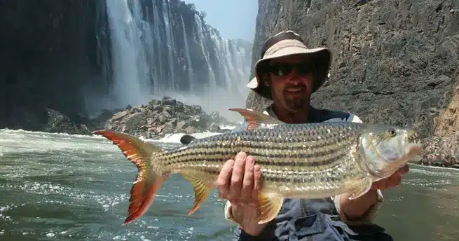Zambezi Fishing Safari