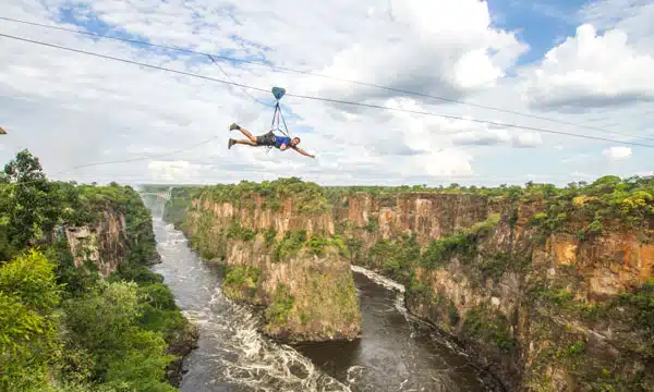 Flying Fox Victoria Falls