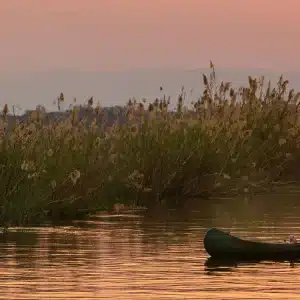 overnight zambezi river canoe safaris