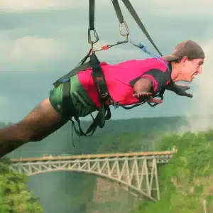 flying fox victoria falls