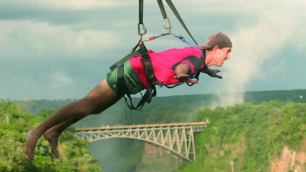 Flying Fox Victoria Falls
