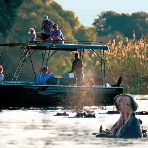 zambezi river safaris