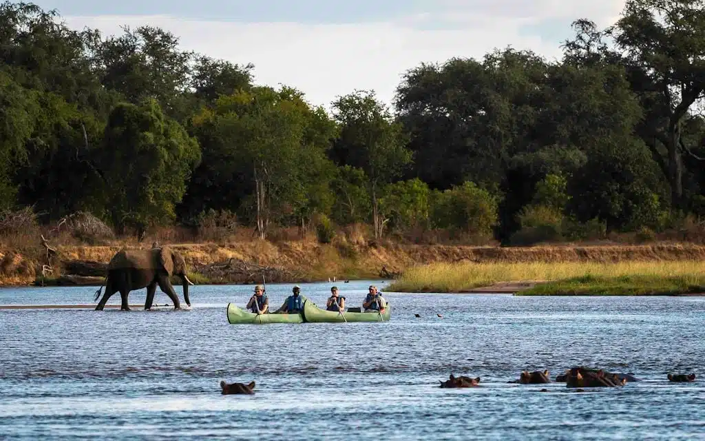 Overnight Zambezi River Canoe Safaris