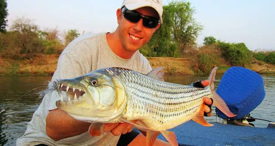 Zambezi Fishing Safari