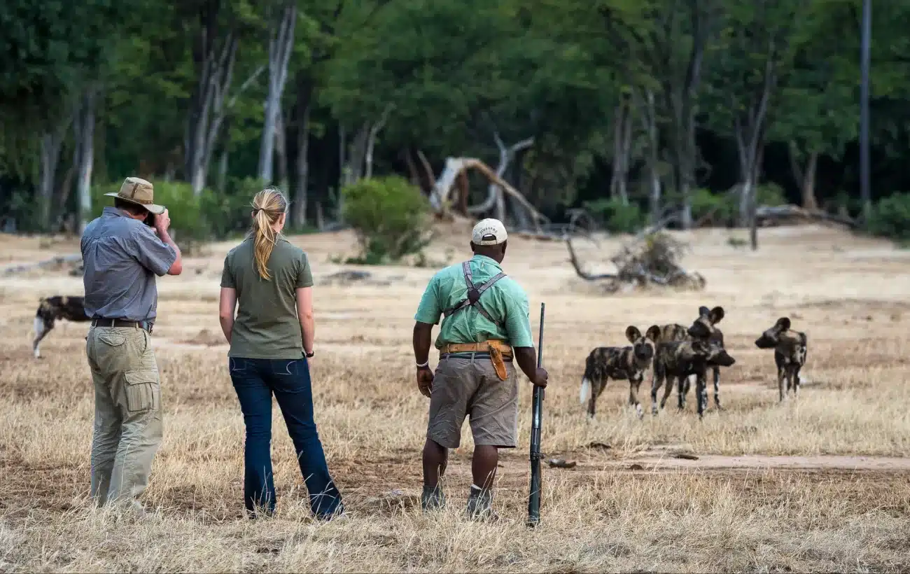 Walking Safaris Victoria Falls