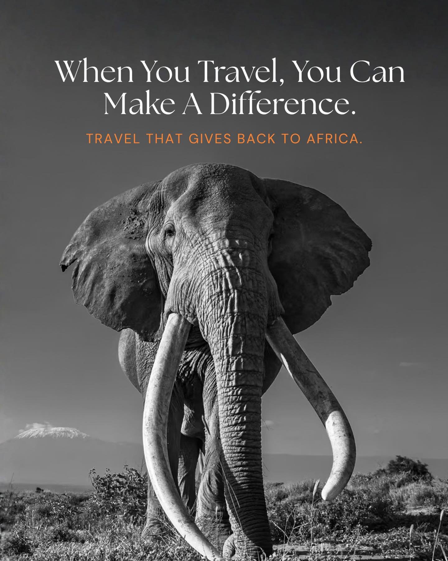 Travel that gives back to Africa: elephant portrait post