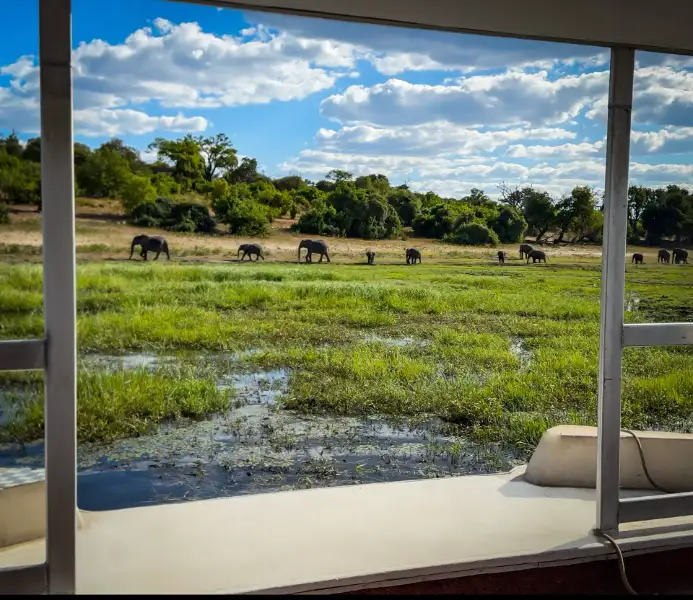 Chobe National Park